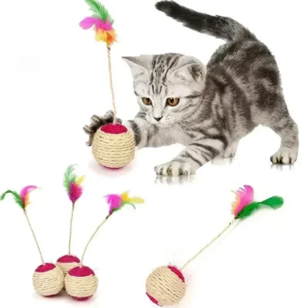 Variété de jouets pour chaton